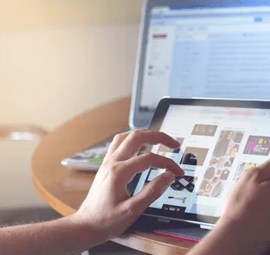 Domain Hosting Hizmetleri